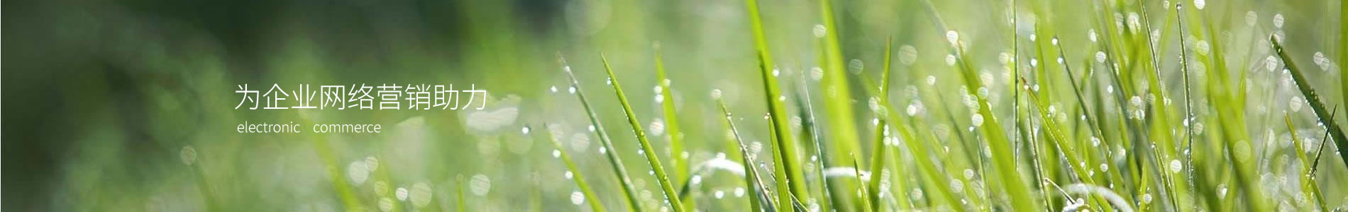 ݸװƼ޹˾